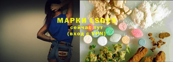 мяу мяу мука Михайловка
