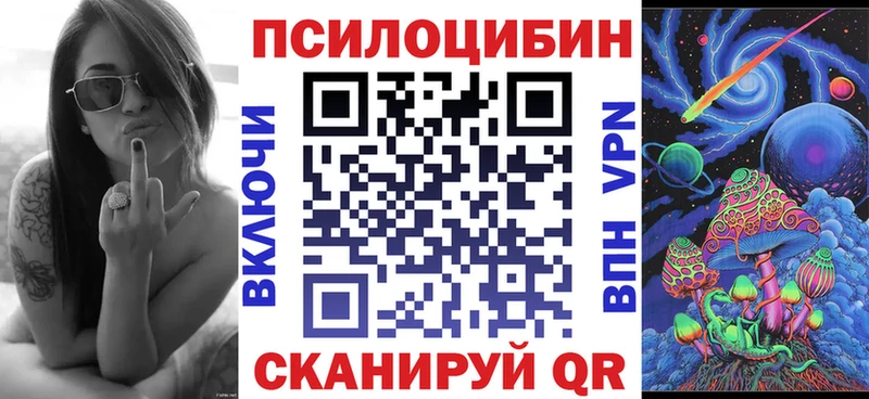 Псилоцибиновые грибы мицелий  Лодейное Поле 